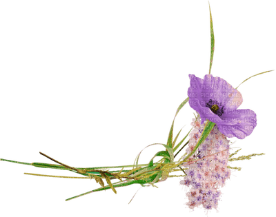fleur deco flowers deco - PNG gratuit