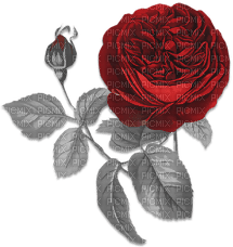 soave deco flowers rose branch vintage black white - Free PNG