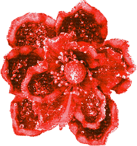 Flower.Red - png grátis
