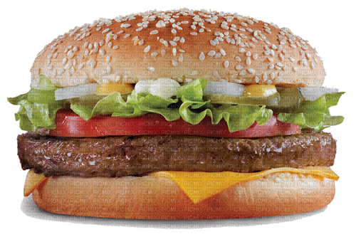 GIANNIS TOUROUNTZAN - Burger - фрее пнг