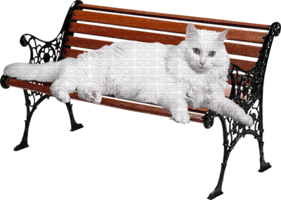 Kaz_Creations Cat On Bench Seat - PNG gratuit