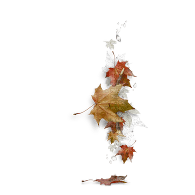 AUTUMN LEAVES DECO - zadarmo png