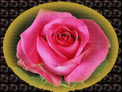 rosa - Zdarma animovaný GIF