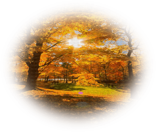 background Herbst - ingyenes png
