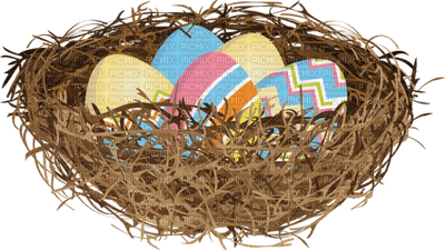 Kaz_Creations Birds Nest - png gratuito