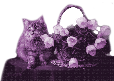 Y.A.M._Cat purple - δωρεάν png