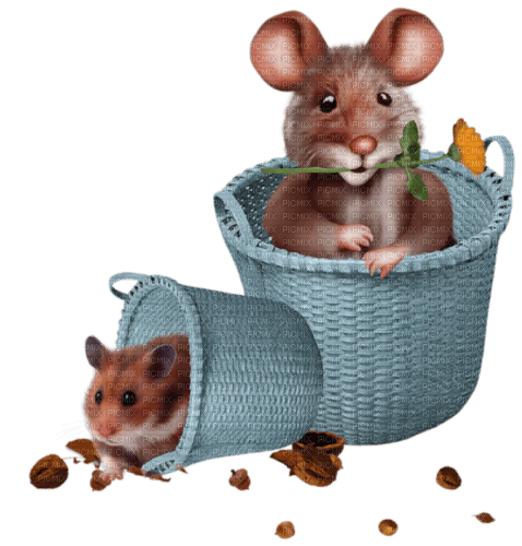 maus hamster - бесплатно png