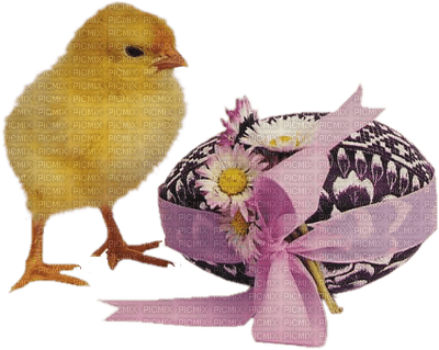 Kaz_Creations Easter Deco Chick - nemokama png