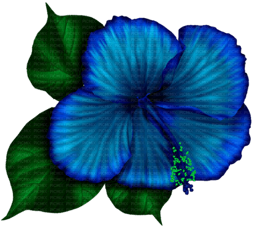 Tropical.Flower.Blue - Free PNG