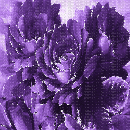 purple milla1959 - Nemokamas animacinis gif