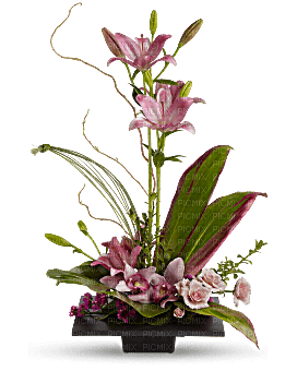 Flowers in vase bp - png ฟรี