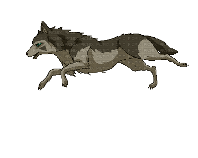 running wolf - Бесплатный анимированный гифка