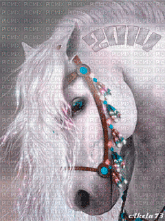 horse fantasy - Безплатен анимиран GIF