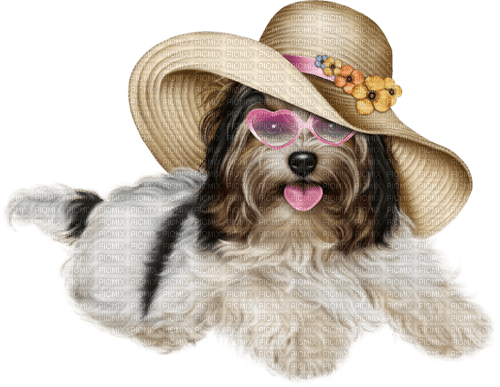 dolceluna summer dog - δωρεάν png