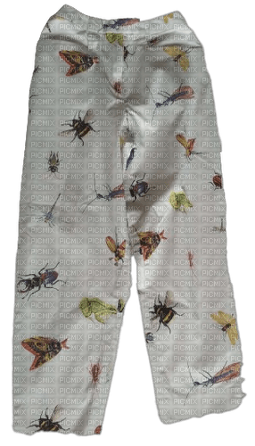 bug pants - bezmaksas png