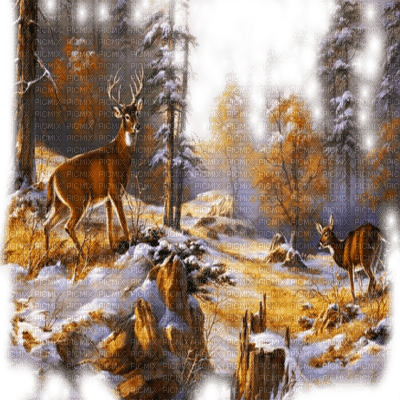 deer winter forest bg cerf forêt hiver fond - darmowe png