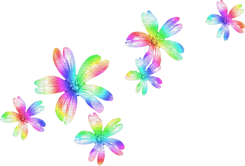 Flowers.Rainbow - png ฟรี