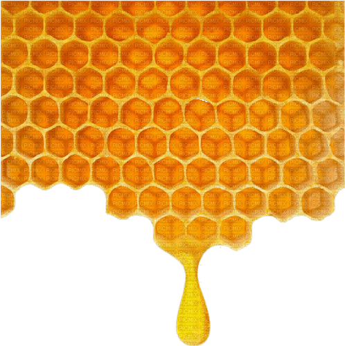 Background Honey - Bogusia - бесплатно png