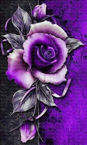 rosa  violeta - png gratis