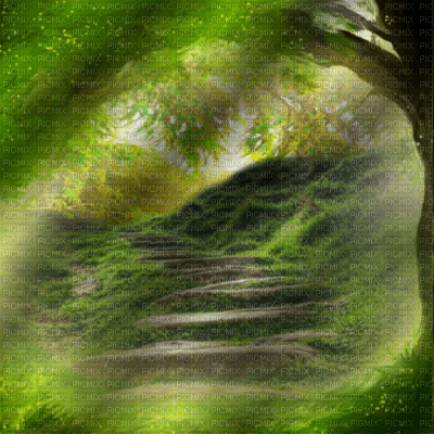 green background - png grátis