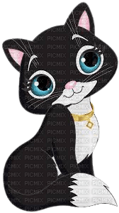 black and white  cat - PNG gratuit