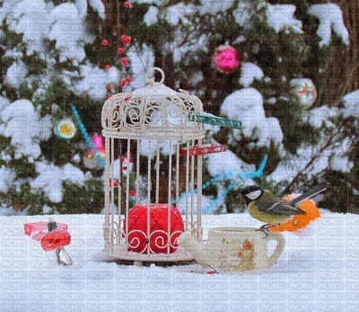 cage oiseau neige - PNG gratuit