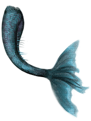 mermaid tail merenneito pyrstö - PNG gratuit