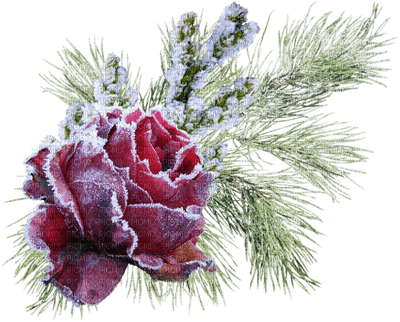 chantalmi déco rose branche hiver winter neige snow noël givre - PNG gratuit