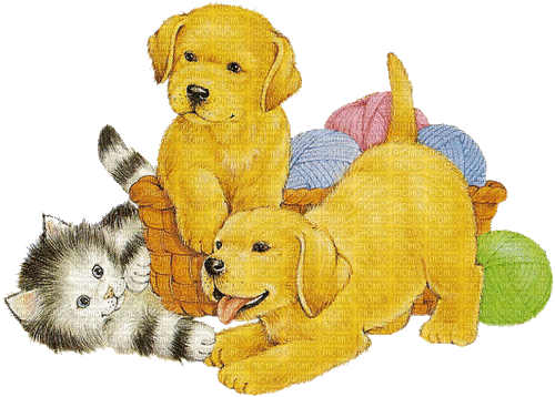 dolceluna dog dogs - Gratis animerad GIF