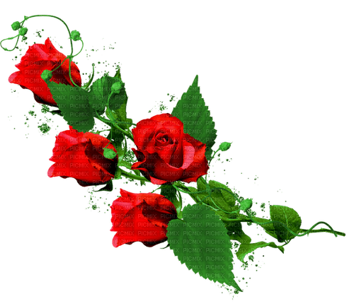 Roses.Red - δωρεάν png