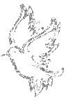 Décoration oiseau - Бесплатный анимированный гифка