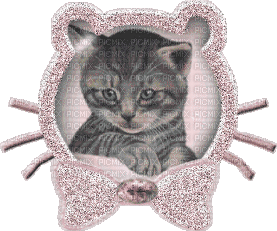gato by EstrellaCristal - Бесплатни анимирани ГИФ