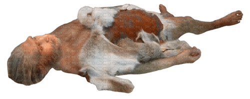 neanderthal laying down - PNG gratuit