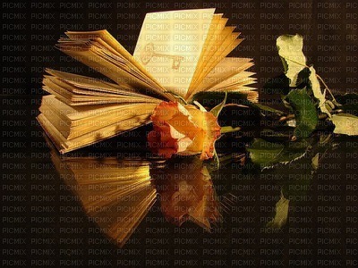 ROSES AND THE BOOK - ilmainen png