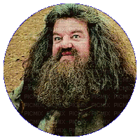 Rubeus Hagrid - Bezmaksas animēts GIF