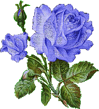 Flowers blue bp - GIF animado grátis