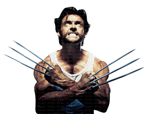 Wolverine - PNG gratuit