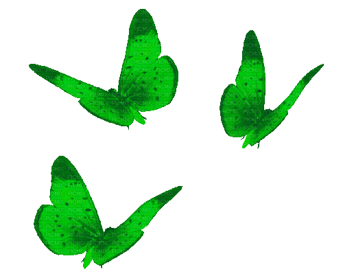 Animated.Butterflies.Green - By KittyKatLuv65 - Gratis geanimeerde GIF