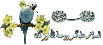 السلام عليكم - Бесплатный анимированный гифка