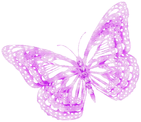 Animated.Butterfly.Purple - KittyKatLuv65 - Free animated GIF