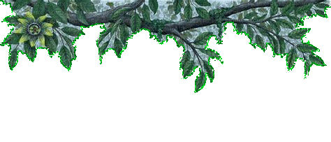 Leaves - GIF animate gratis