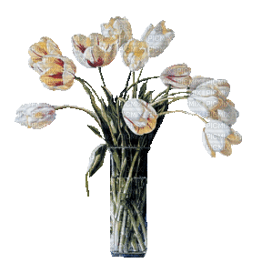 Тюльпаны - Δωρεάν κινούμενο GIF