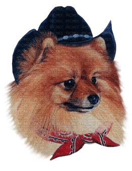 Kaz_Creations Dog Pup - ilmainen png