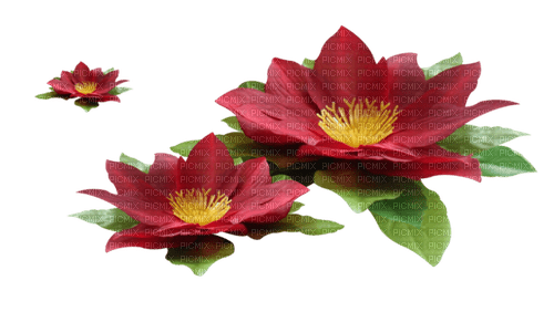 Flores de agua - ücretsiz png