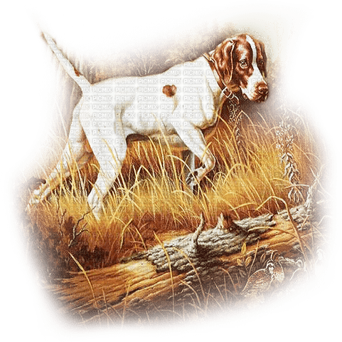 soave animals vintage autumn dog  deco brown - PNG gratuit