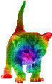 rainbow cat - Free animated GIF