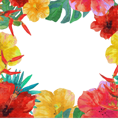 loly33 frame fleur exotique - PNG gratuit