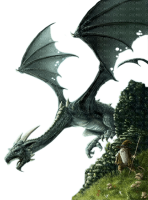 dragon bp - PNG gratuit