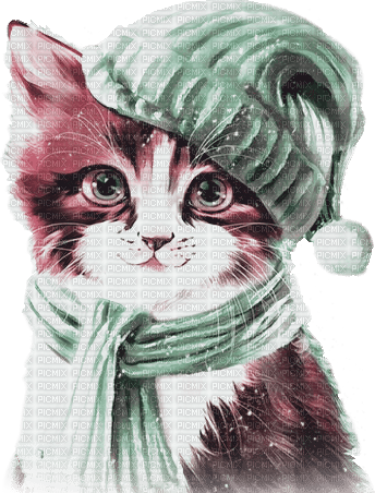 soave cat animals winter deco pink green - png grátis