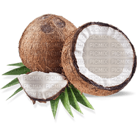 Coconut - ilmainen png